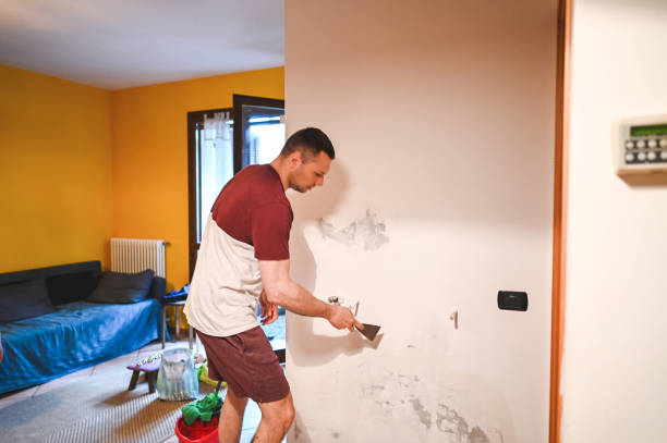 Best Affordable Mold Removal  in Olney, TX